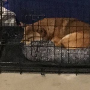 Meet your Posher, Jeremiah